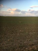 IMG_1342 - Copy.JPG